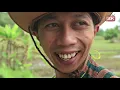 Download Lagu SONTOLOYO || FILM PENDEK #CINGIRE
