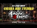 Download Lagu DJ India Viral Chaha Hai Tujhko Full bass Terbaru paling di cari di tik tok