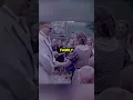 What Happened To Hitler s Family After WW2