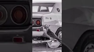 لا طلبت البعد مال الصدود الا الصدود  لا طلبت البعد مال الصدود الا الصدود