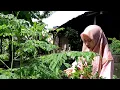Download Lagu Masak Sederhana di Desa, Goreng Tempe Koro dan Gembus, Sambel Teri Terong Glatik, Sayur Bening Kelor