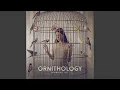 Lagu Ornithology