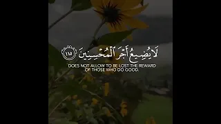 قرآن حالات واتس آب آيات قرآنية قصيرة القرآن الكريم الصبر 