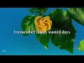 Vance Joy - Missing Piece | Lyrics