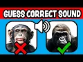 FORTNITE GUESS CORRECT SOUND MAP CODE 5691-8213-1837
