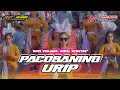 Download Lagu DJ PACOBANING URIP. BASS HOREGG MIDEL NULUP\