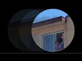 Project Pablo - Royal Plus