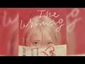 Download Lagu 아이유 (IU) - Love wins all 1 Hour Loop