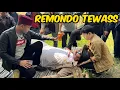 Download Lagu DETIK DETIK BOS PREMAN REMONDO TEWASS DI HADAPAN BANG REY LAMPUNG 