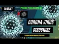 Draw awesome Corona Virus structure from turtle Corona Virus Python Programming