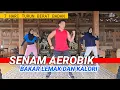 Download Lagu SENAM AEROBIK BAKAR LEMAK DAN KALORI