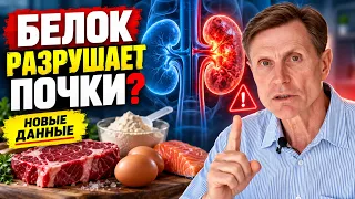 Белок разрушает почки? Сколько белка безопасно? Новые данные.