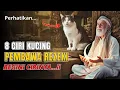 Download Lagu KUCINGNYA MALAIKAT MIKAIL !! Beruntung Sekali Jika Menemukannya, 8 Ciri Kucing Pembawa Hoki \u0026 Rezeki