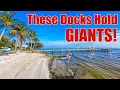 Chasing MONSTERS On Docks and Seawalls in Sanibel - You Haven t Tried It This Way
