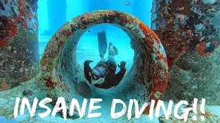 WHATS UNDER A CRUISE SHIP PIER?!?