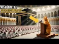 Download Lagu KUASA ALLOH‼️ Seekor Kucing Tiba Tiba Adzan di Depan Ka'bah‼️ Semua Jamaah Haji Bersujud❗AllohuAkbar