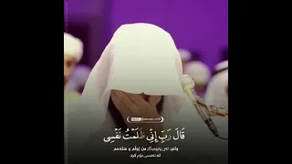 رب إني ظلمت نفسي وإن لم تغفر لي وترحمني أكن من الخاسرين 