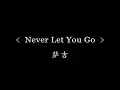 Never Let You Go - 萨吉(网剧《我只喜欢你》片尾曲)『动态歌词』Here I am again with memories  your face with smile
