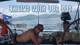 20. CRUISING LIFE with our German Shepherd dog | Life on a sailboat | Sailing Sunday