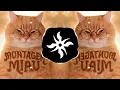 Lenar - MONTAGEM MIAU