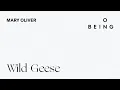 Wild Geese written and read by Mary Oliver