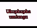 Download Lagu Ukuphupha umlungu kubika lokhu
