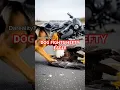 Download Lagu Dog battles Eagle #animals #facelessyoutube #aivideo #shorts #rescueefforts