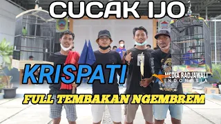 Download CUCAK IJO KRISPATI FULL TEMBAKAN || ABAH MAHMUD / East x juwono MP3