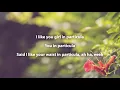Major Lazer -  Particula Lyrics feat  Nasty C, Ice Prince, Patoranking & Jidenna