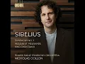 Suite from "Pelléas et Mélisande", Op. 46: IX. The Death of Mélisande - The Finnish Radio Symphony Orchestra, Nicholas Collon & Jean Sibelius