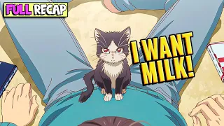 Lonely Guy Had a Sad Life Until a Cute Cat Came to His House My Roommate is a Cat Anime Recap