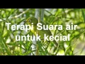 Download Lagu Terapi Suara Pleci Kecial ( Pleci Lombok)