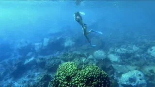 Best Place to Dive and Walk in the Jungle!