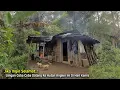 Lagu Nekad.. Dimasa Tuanya Wanita Ini Memilih Tinggal Sendiri di Hutan Yang Konon Terkenal Angker
