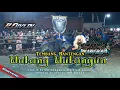 Download Lagu DJ BANTENGAN - WULANG WULANGUN - VIRAL DITIKTOK - STYLE JOGETAN GANYENG \u0026 GEDRUK PINDO🔥