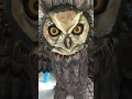 Burung hantu terbesar didunia #shorts #short