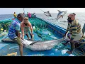 Download Lagu Great🤩 The Tenth Day We Stayed In The Deep Sea And Caught A Lot Of Big Fishes | Day-10 | S06-EP10