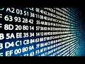 Computer codes Abstract Motion Graphics