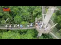Lagu KAKUM  NATIONAL PARK  DRONE FOOTAGE
