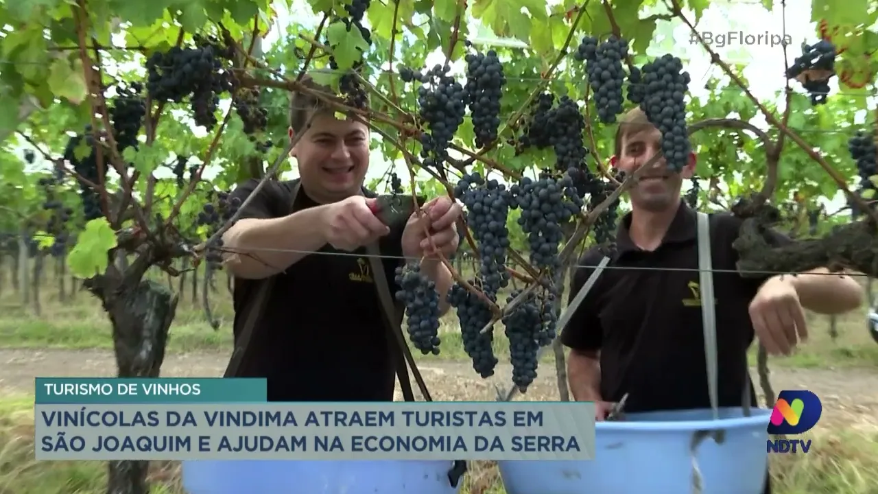 Setor do turismo de São Joaquim é aquecido durante todo o mês de março