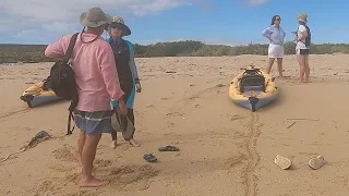 Some of the best of the west! Fishing, whale watching and snorkelling and kayaking up Yardie Creek