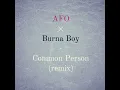 Download Lagu AFO/Burna Boy - Common Person (Remix)