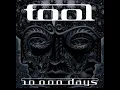 Tool - The Pot (vocals only)