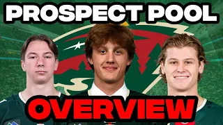 Prospect Pool Overview Minnesota Wild 2026 Edition
