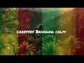 Lagu VAA - Island Serenade (The Reggae Song of the Nature) Official Lyrics Video