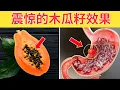 Download Lagu 長輩們，這樣吃木瓜籽，12種健康問題馬上消失！