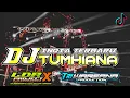 Download Lagu Dj India Tumhiana Terbaru Slow Bass Lor X Project And Triwarsana Production