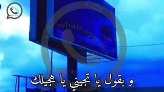 بتمر ساعات بعد لقانا   بتونس بيك   وردة   حالة واتس اب دندنها