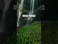 Download Lagu Irina Rimes #afrohouse #dj #remix #deephouse