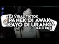 Download Lagu DJ PANEK DI AWAK KAYO DI URANG VIRAL TIKTOK TERBARU BY  ELART REMIX